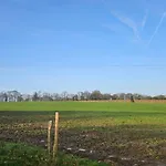 Vendégház The Lions Den - La Loge