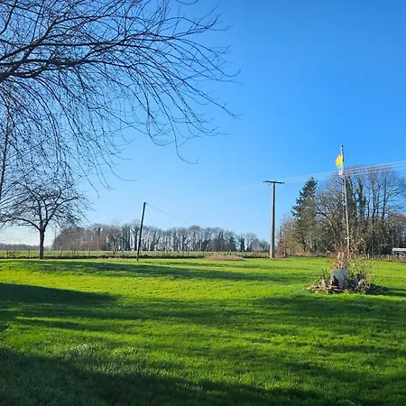 The Lions Den - La Loge